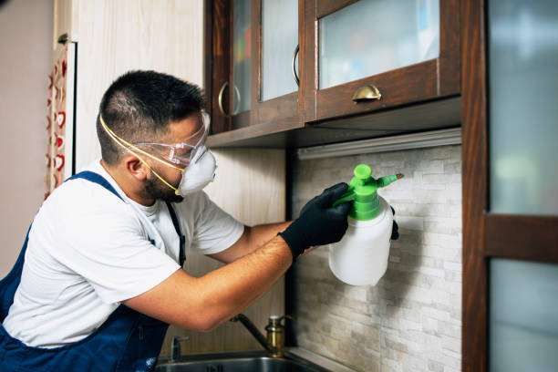 Best Pest Prevention Services  in Coldwater, MI