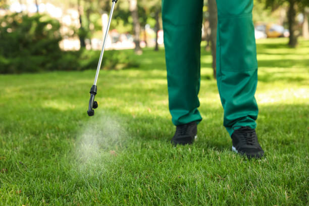 Best Ant Control Services  in Coldwater, MI