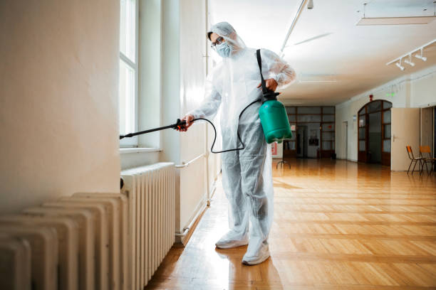 Best Termite Control Services  in Coldwater, MI