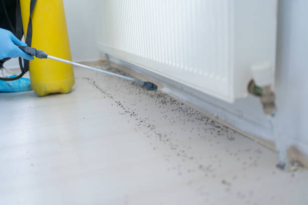 Trusted Coldwater, MI Pest Control Experts