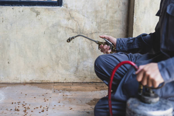 Best Local Pest Control Services  in Coldwater, MI